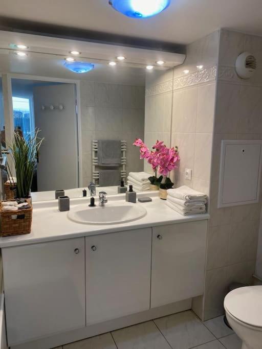 Magnifique Duplex 45 M2 Aux Portes De Paris Metro Barbara A 30Mn Expo Porte De Versailles موروج المظهر الخارجي الصورة
